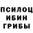 Галлюциногенные грибы Psilocybine cubensis Mr. KiDaNiN